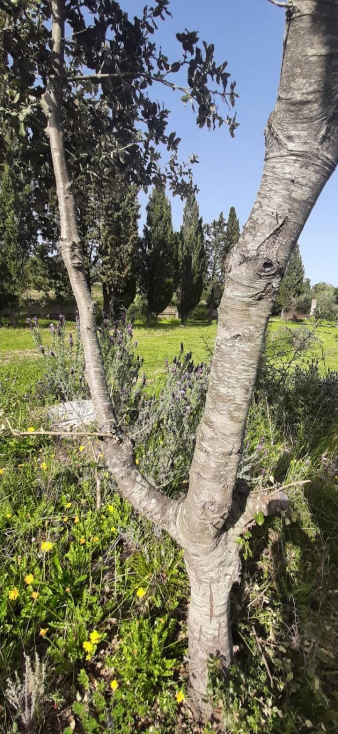 Domo Mia Bed and Breakfast in Sardinia