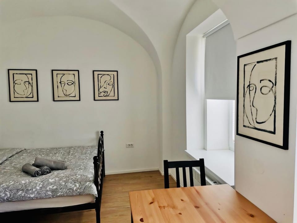 150 steps to the main square Apartment in Ljubljana