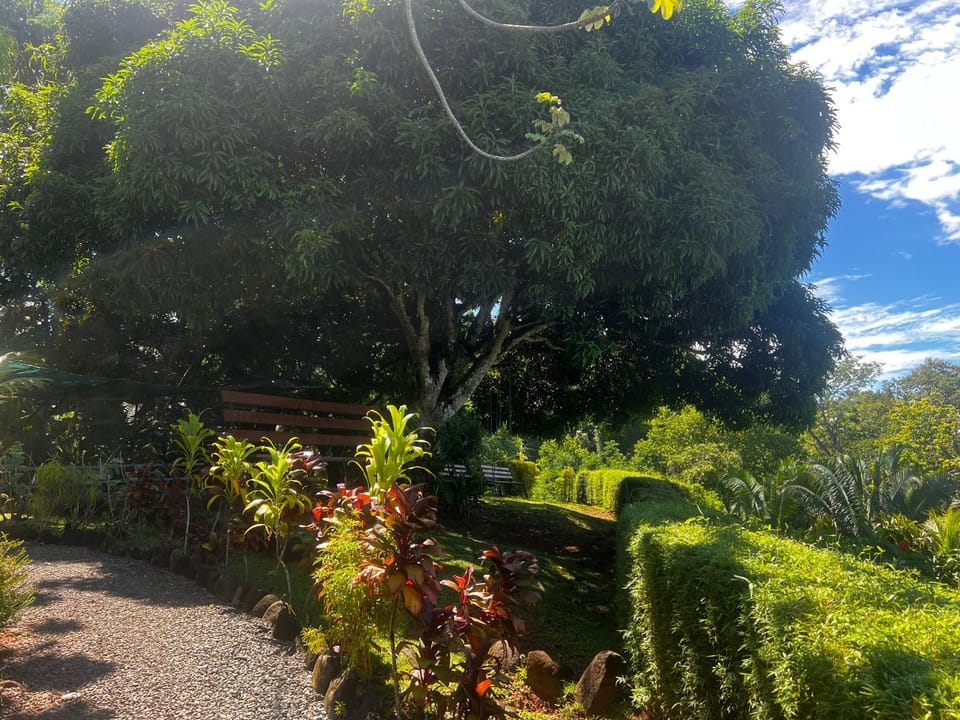 Ranchos Remo Lodge Hotel in Bahía Ballena