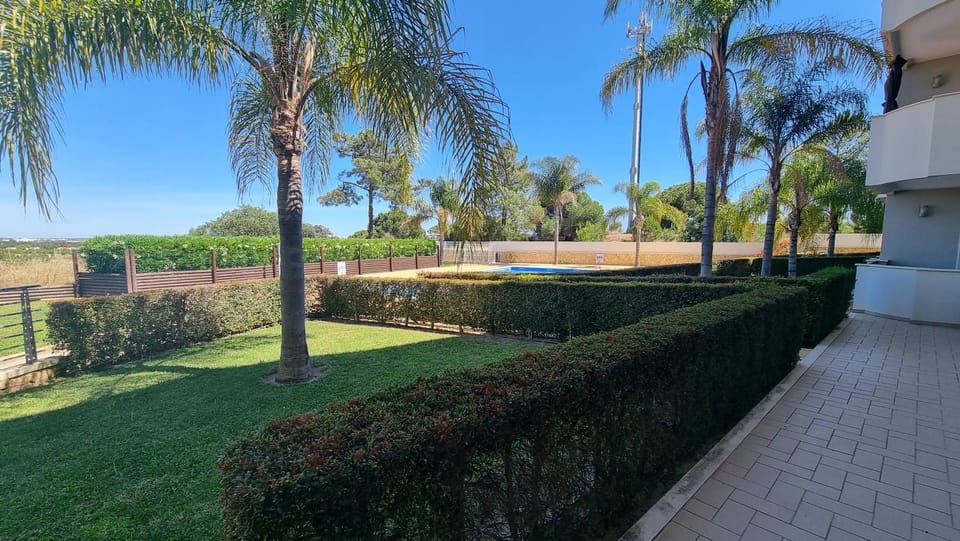 Day, Garden, Swimming pool
