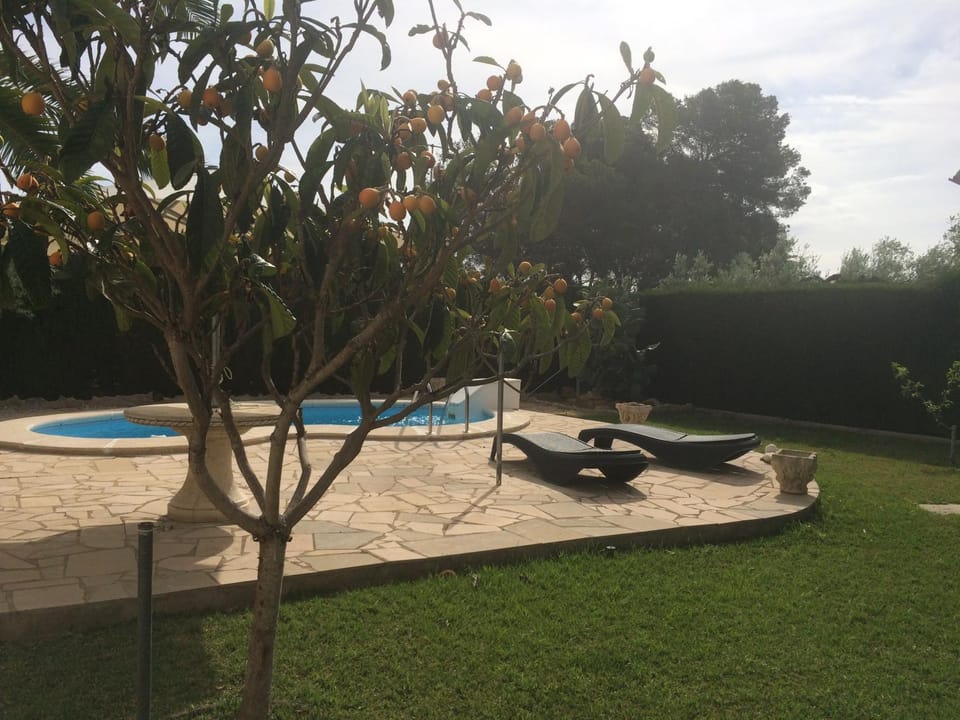 Villa Teresa House in Baix Ebre