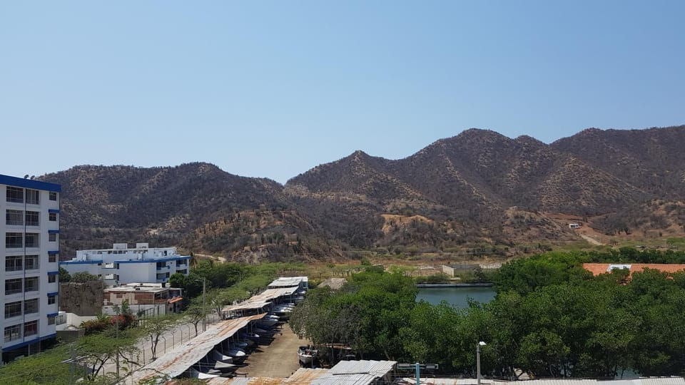 View (from property/room)