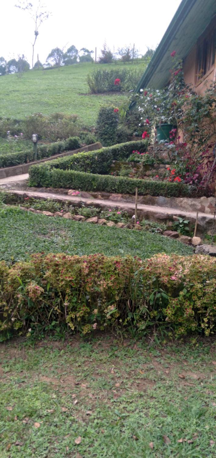 Pau a Pique Chalé Nature lodge in State of Rio de Janeiro