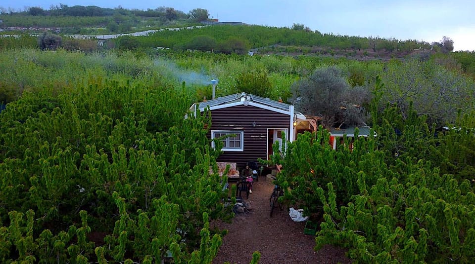 Cantina Cabin's - Think Nature Cabin in North District