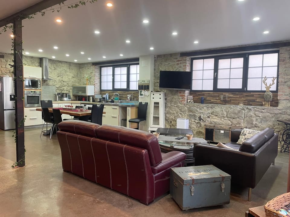 Le Loft de l ancienne forge Apartment in Vosges