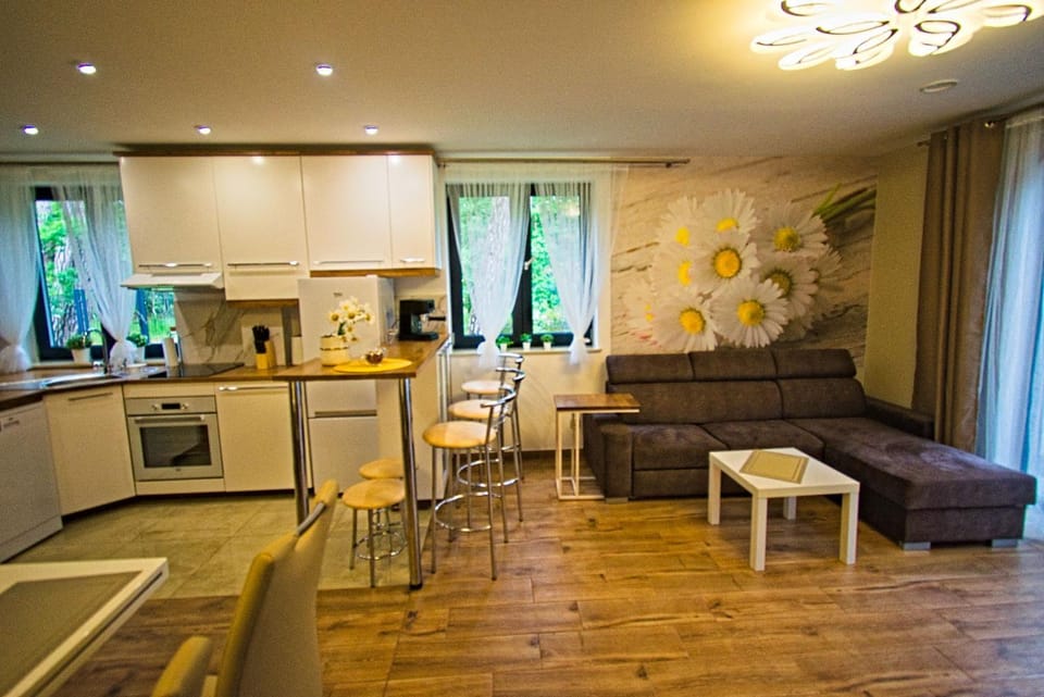 Kitchen or kitchenette, Living room