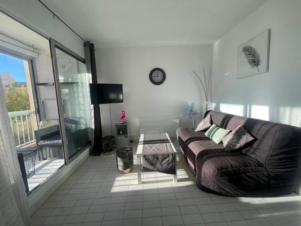 Grand studio au Grau-du-Roi proche Seaquarium et plage Apartment in Le Grau-du-Roi