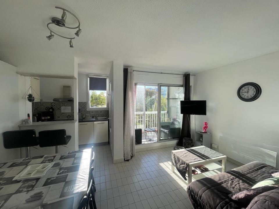 Grand studio au Grau-du-Roi proche Seaquarium et plage Apartment in Le Grau-du-Roi