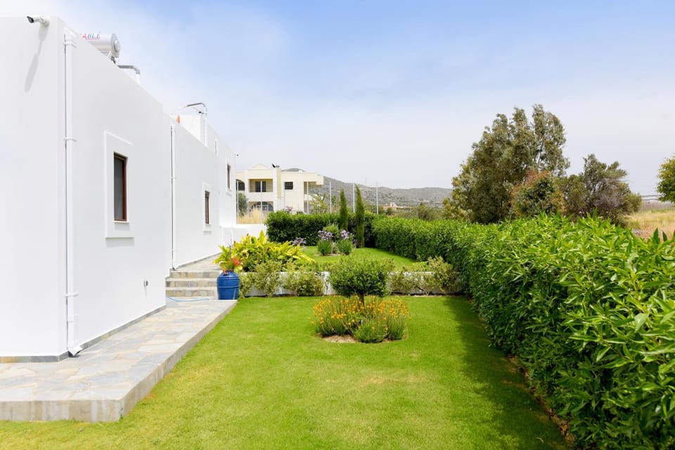 Property building, Garden, Garden view