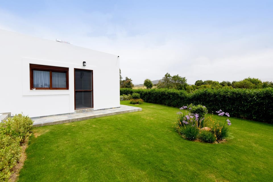 Property building, Garden, Garden view