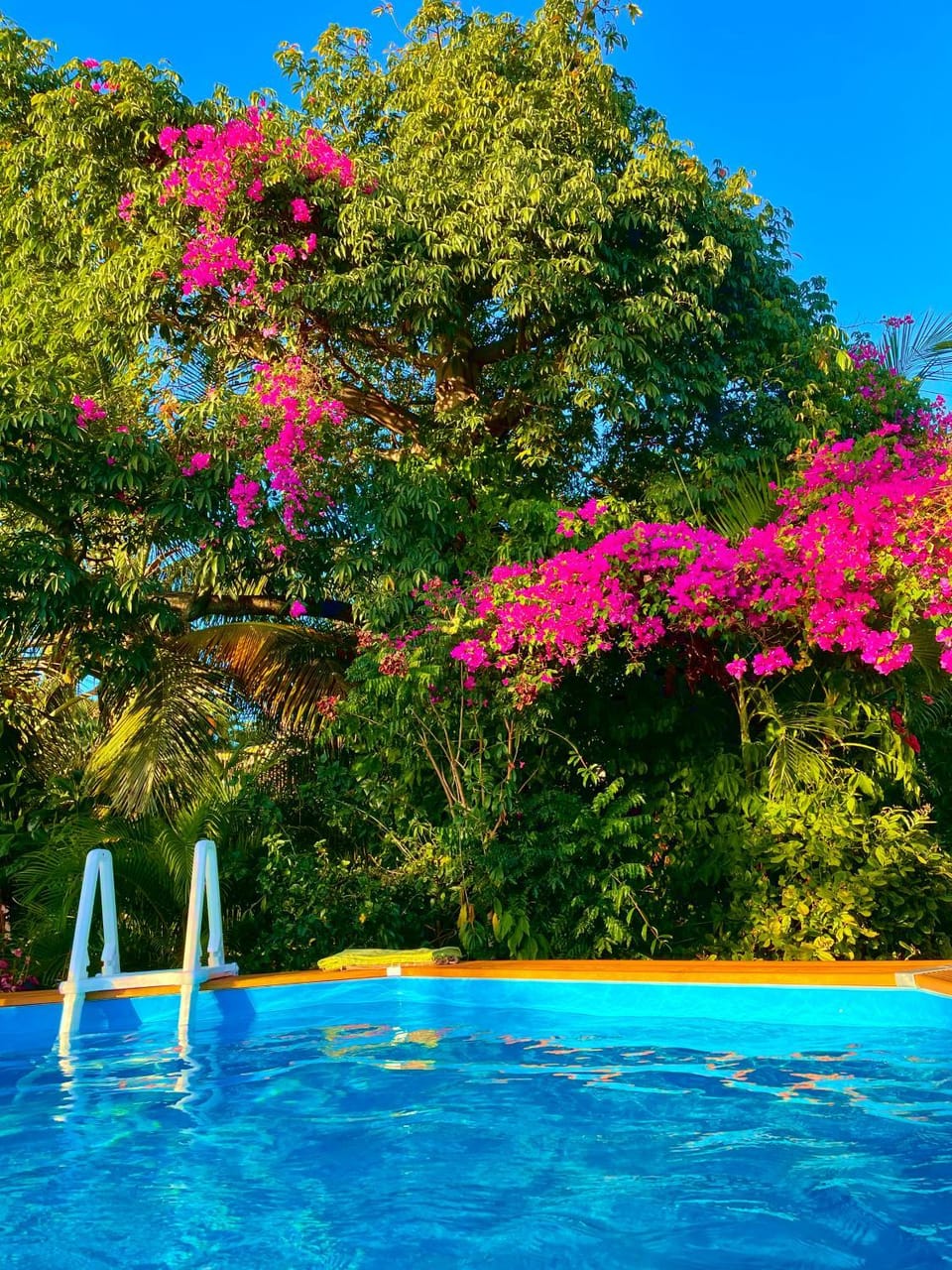 Swimming pool, Swimming pool