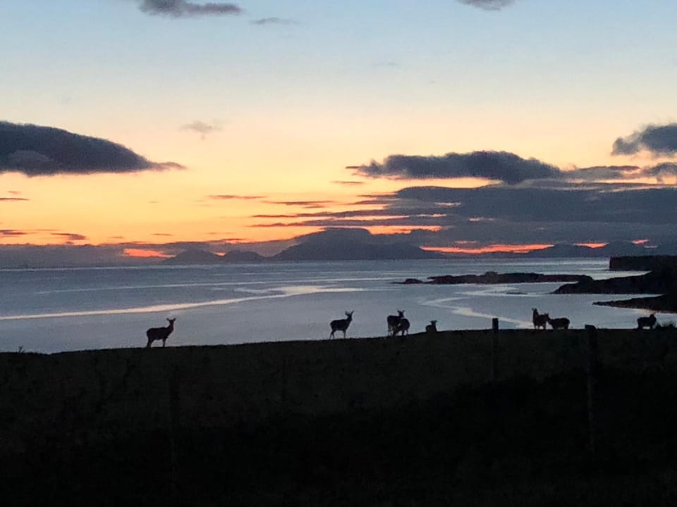 Natural landscape, View (from property/room), Sea view, Sunset