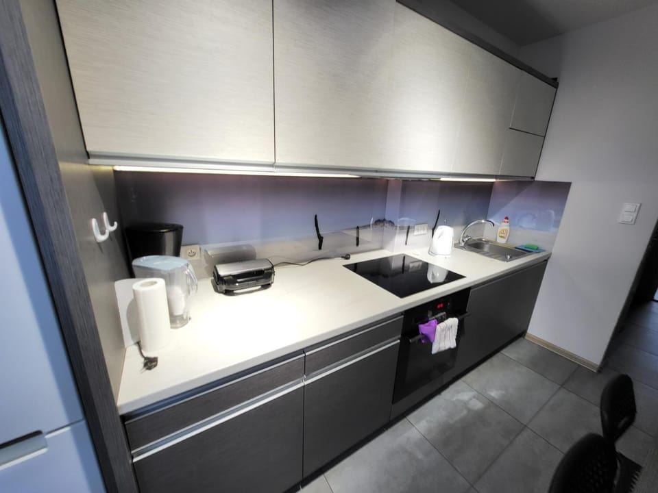 Coffee/tea facilities, Kitchen or kitchenette, minibar, stove, toaster
