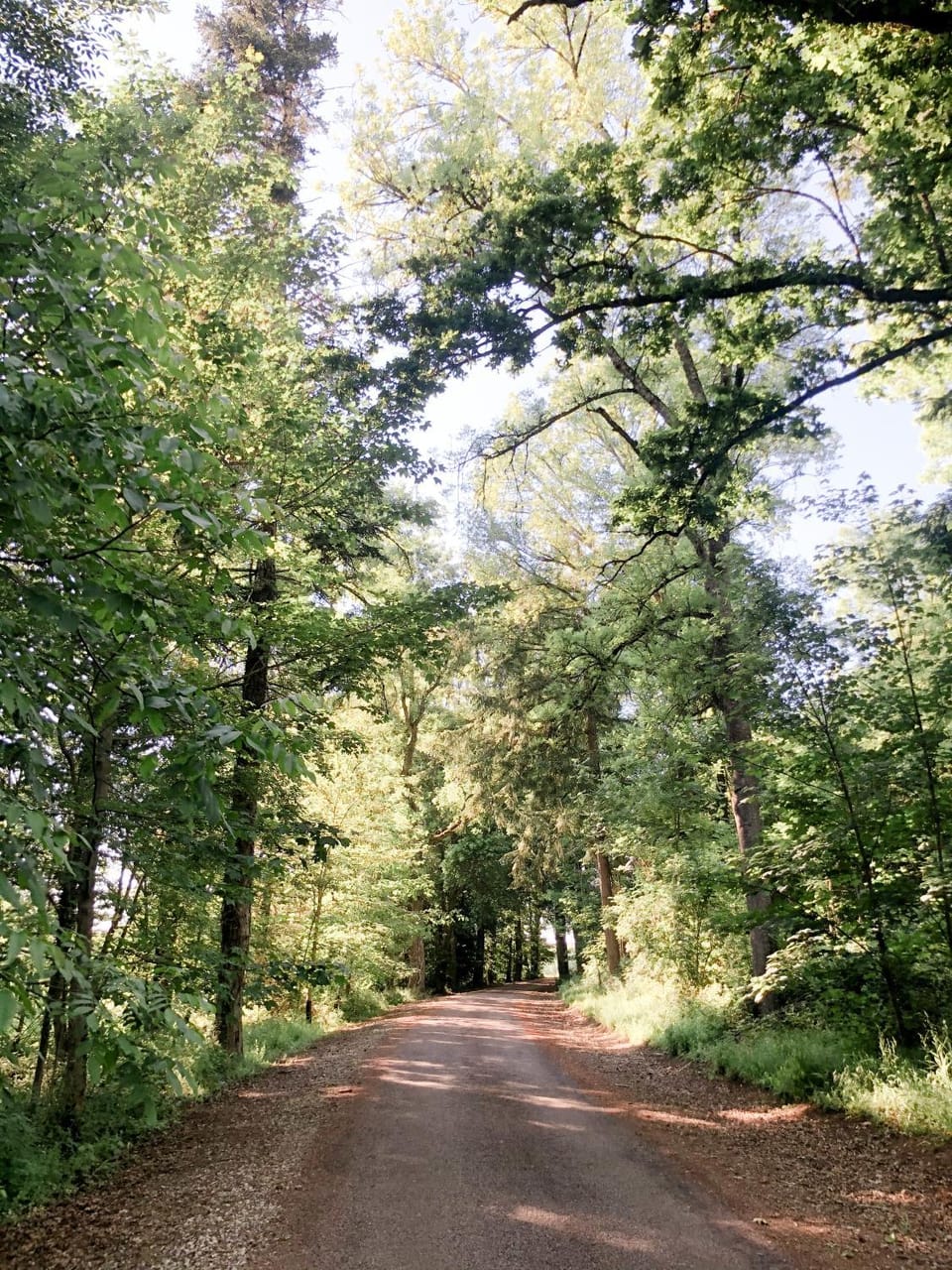 Château du Domaine du Réveillon Bed and Breakfast in Bourgogne-Franche-Comté