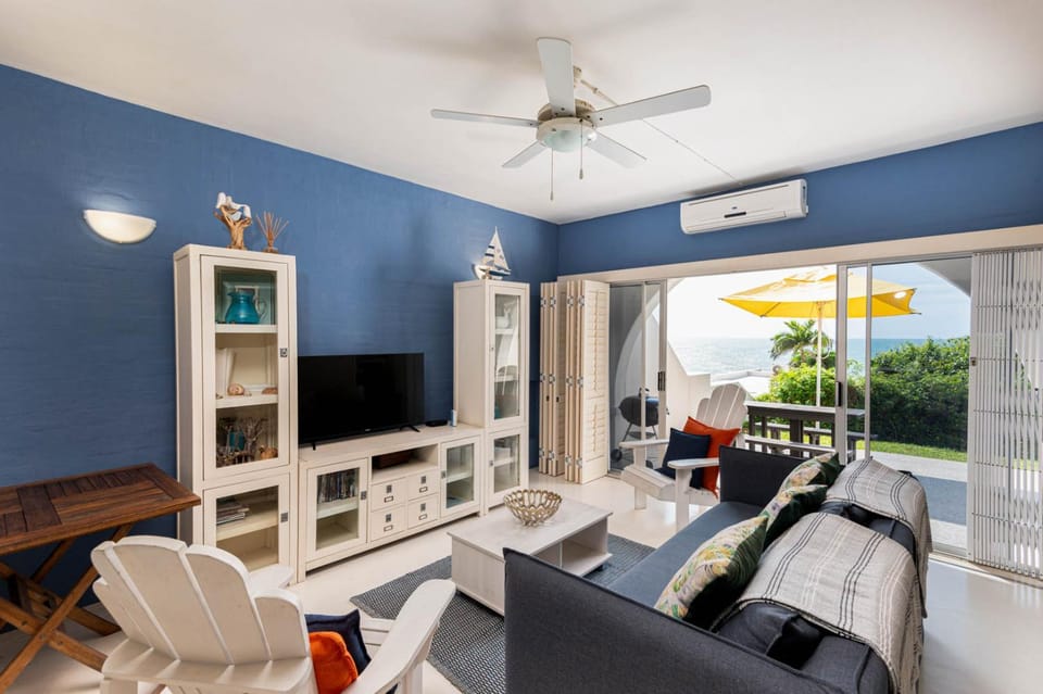 View (from property/room), Living room, Seating area, air conditioner