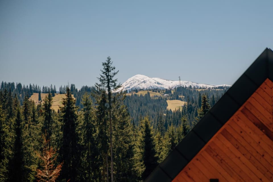 SKOGUR - Home & Resort Chalet in Ukraine