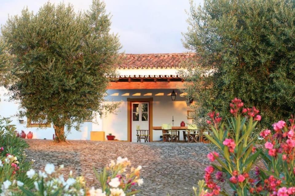 Property building, Patio
