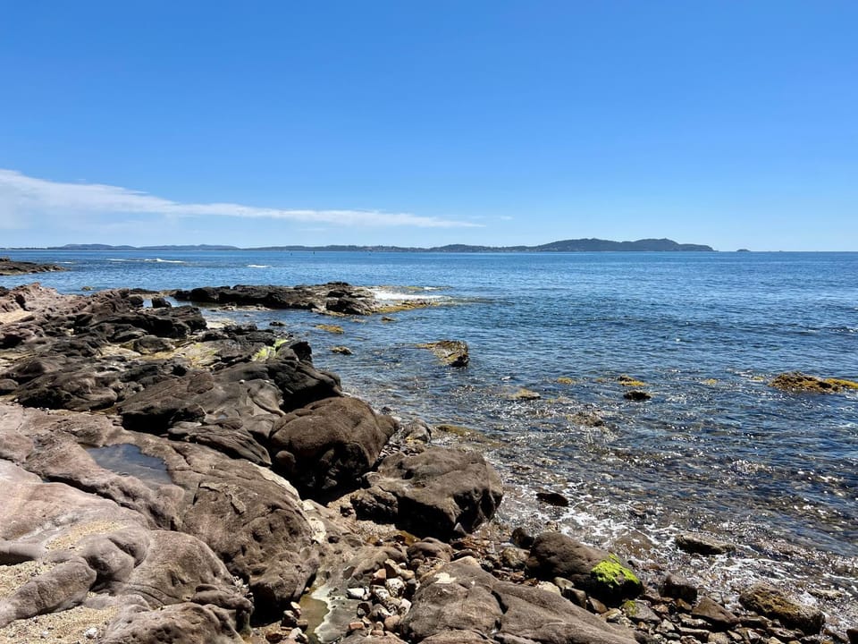Bord de mer aux Pins Penchés Apartment in Hyères