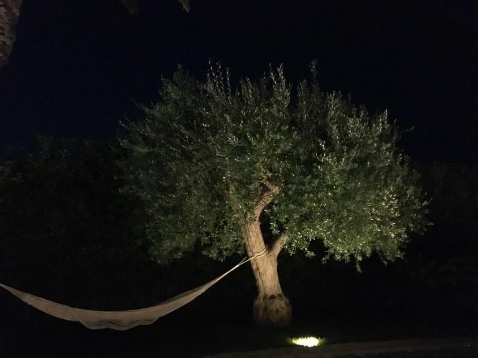 Natural landscape