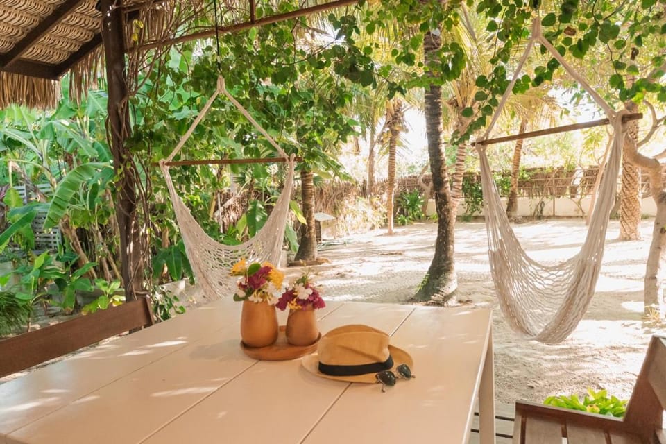 Patio, Garden, Garden view