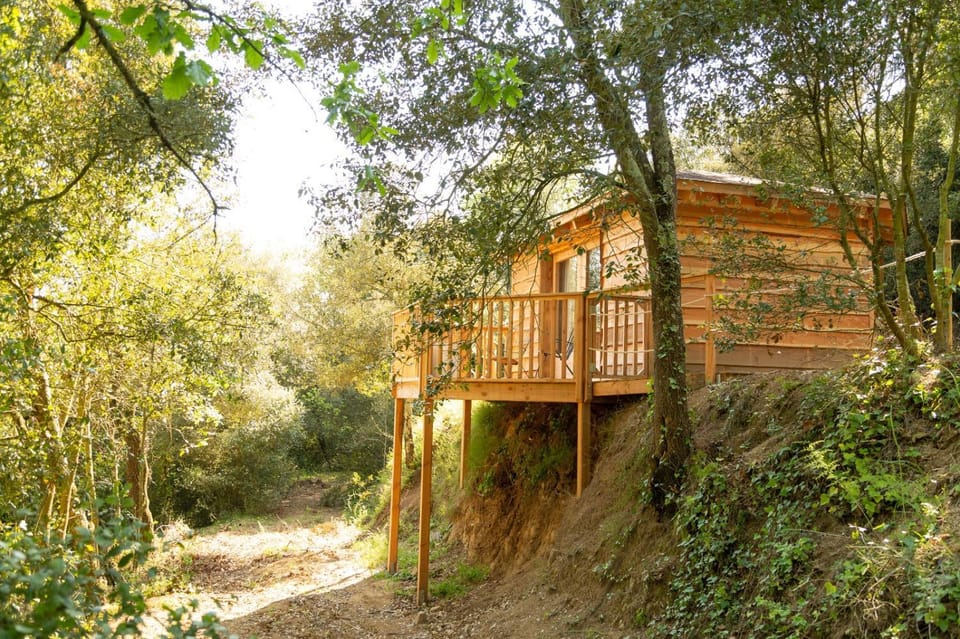 Nits de Bosc Country House in Maresme