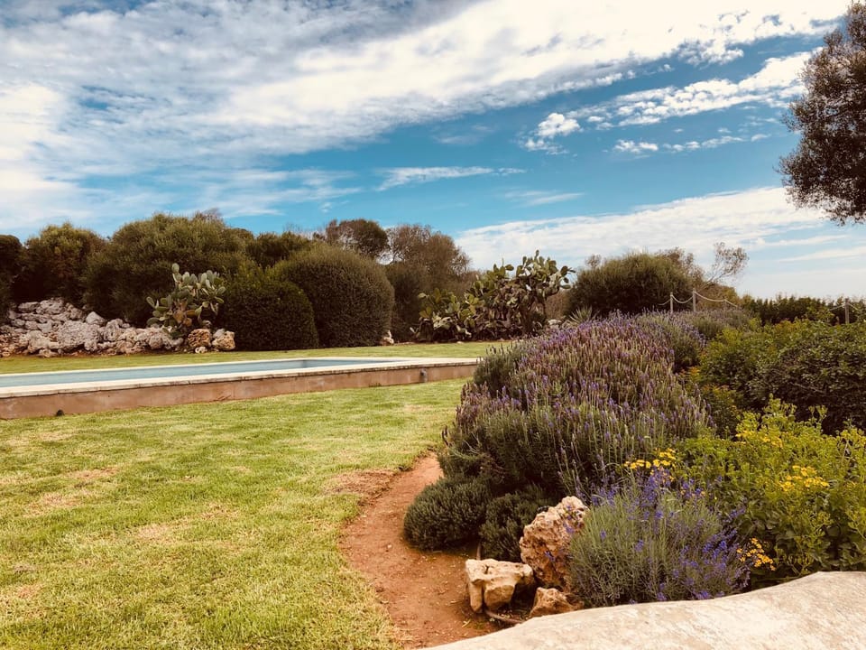 Natural landscape, Garden, Swimming pool