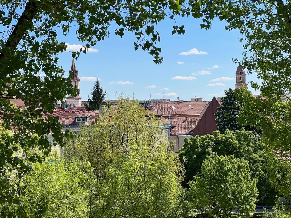 Neighbourhood, City view