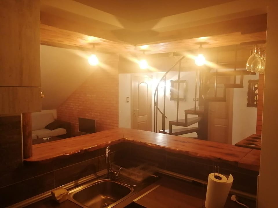 Apartman Daša Apartment in Serbia