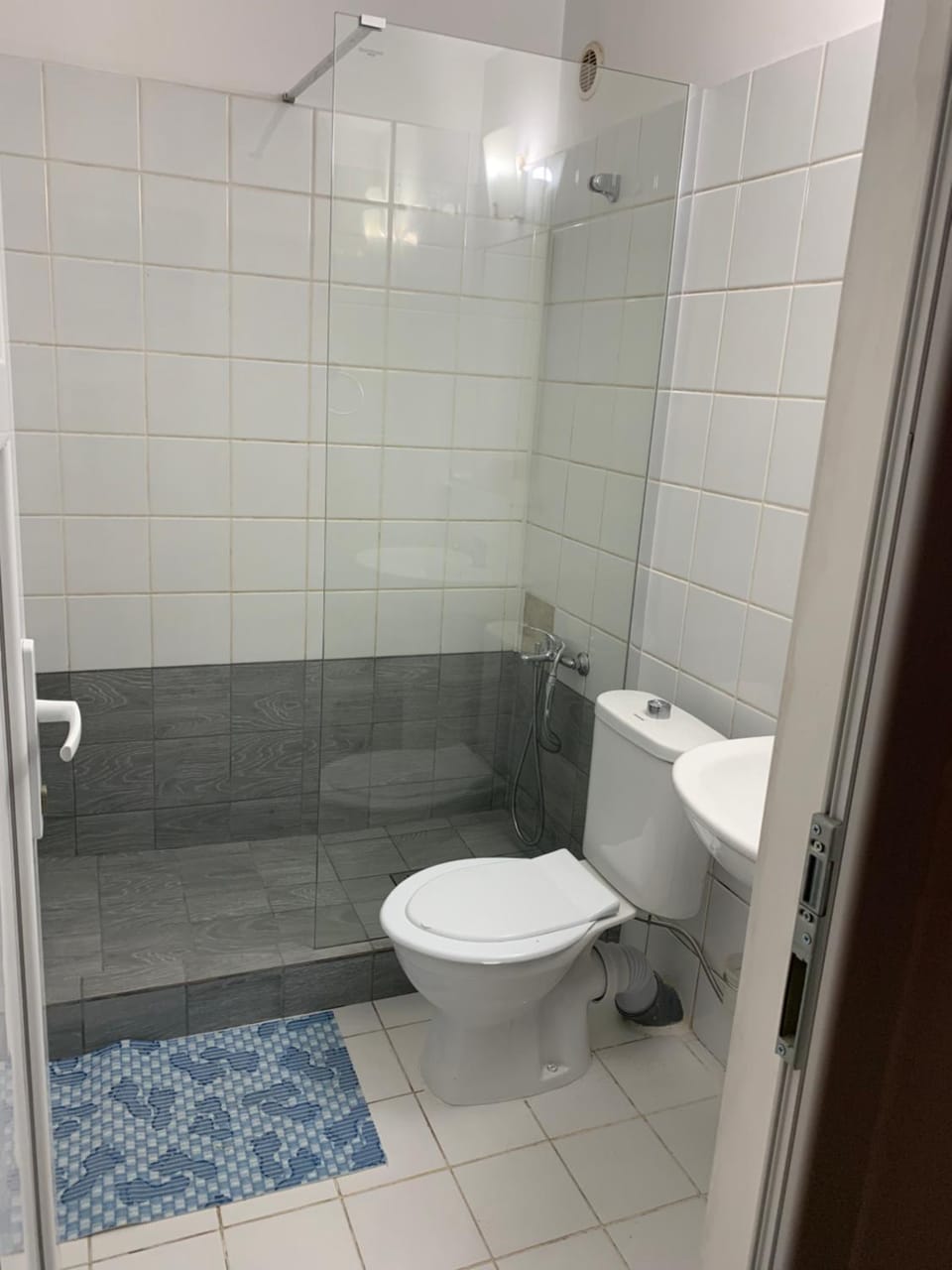 Quiet Garden Ground Floor Apartment in Bucharest