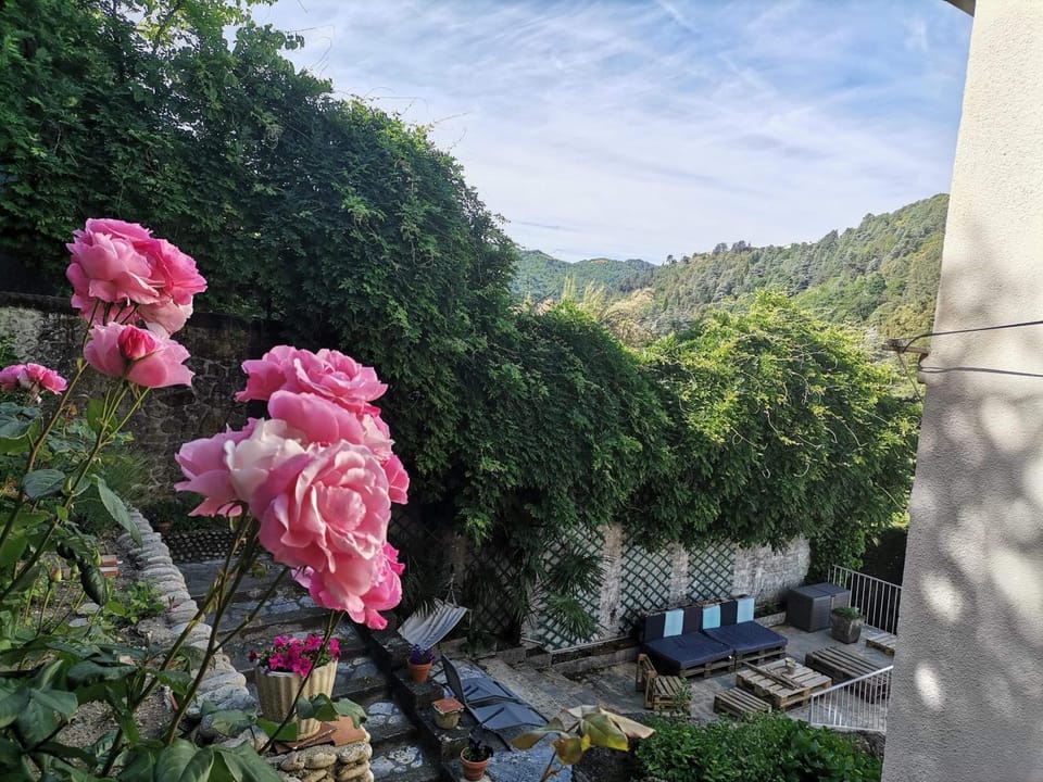 Garden, Mountain view