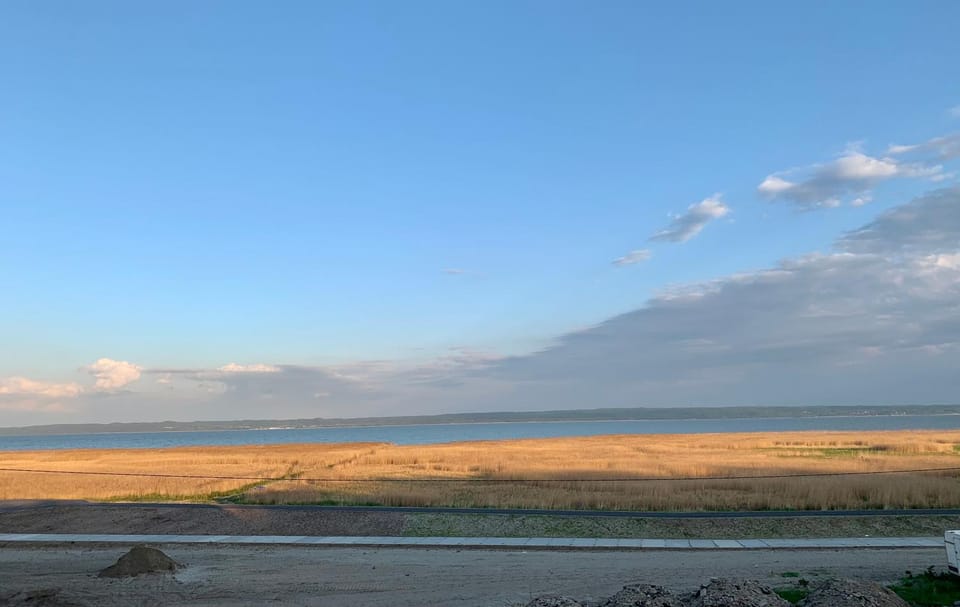 Lake view