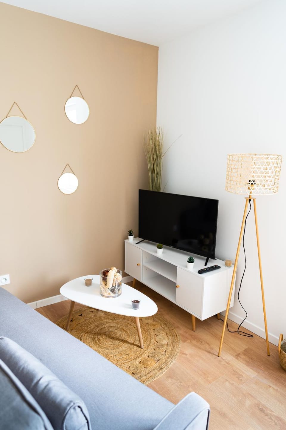 TV and multimedia