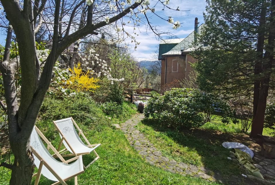 Spring, Garden