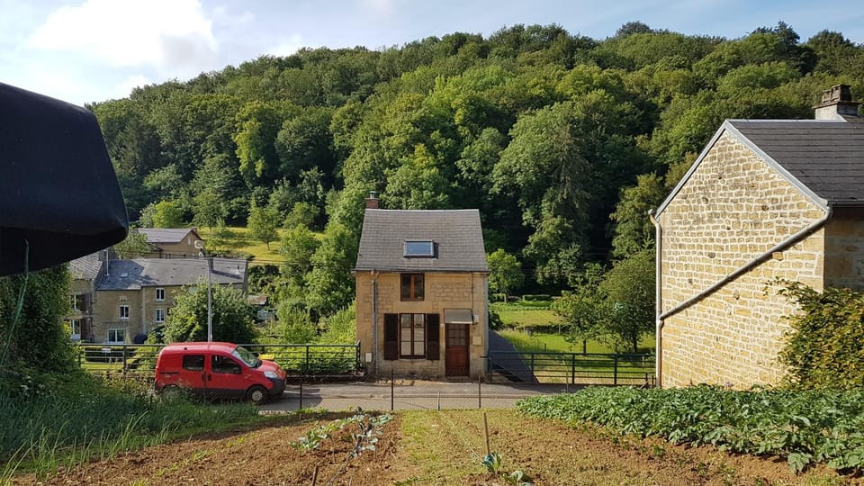 Property building, Neighbourhood