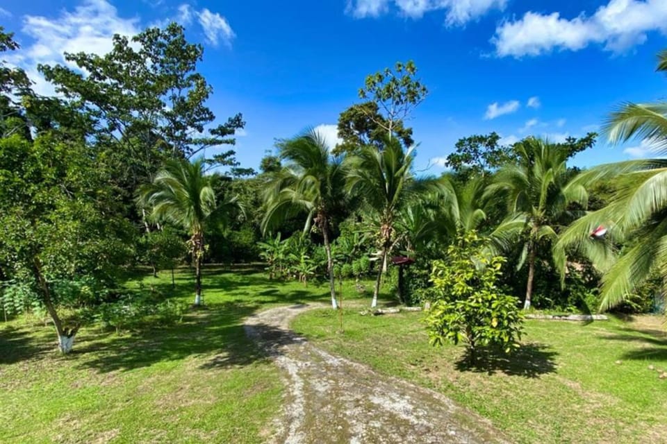 Into the Greens House in Cartago Province, Costa Rica