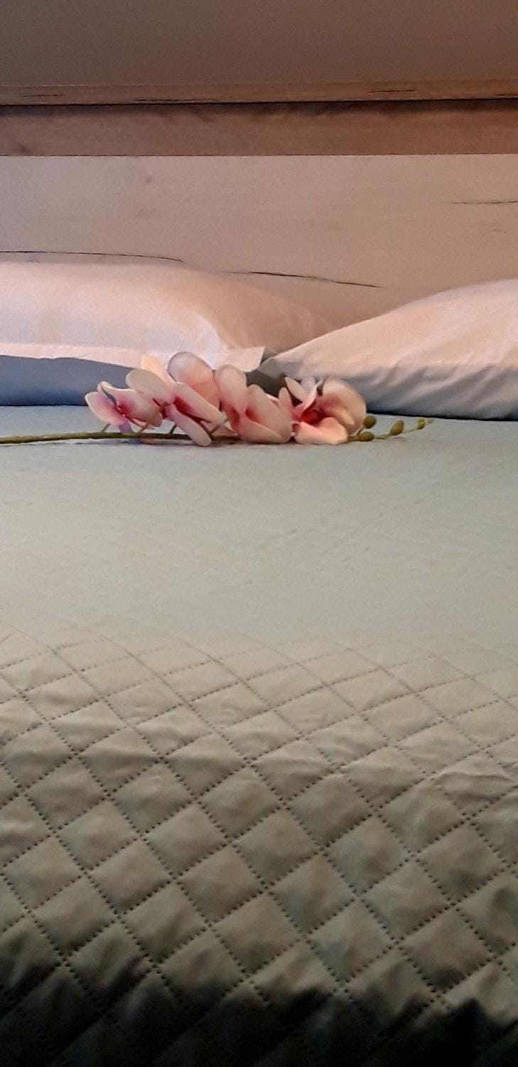 Sp+P apartment Apartment in Corfu