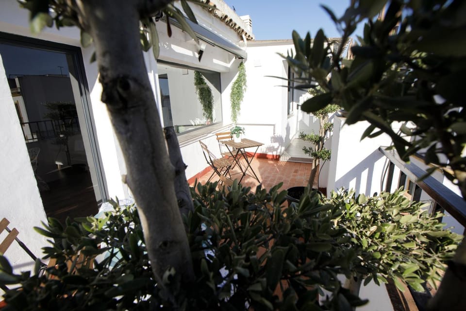 Garden, Balcony/Terrace