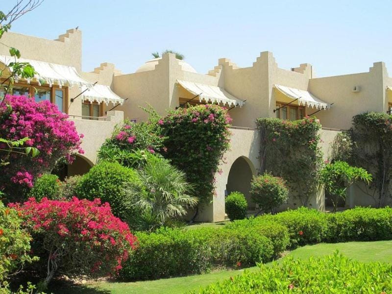 Natural landscape, Garden, Garden view