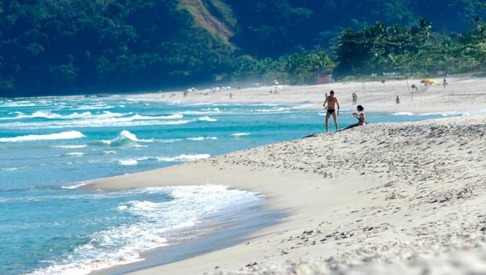 Natural landscape, Beach, group of guests