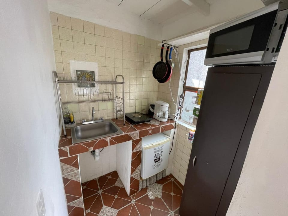 Kitchen or kitchenette, dishwasher, minibar, oven