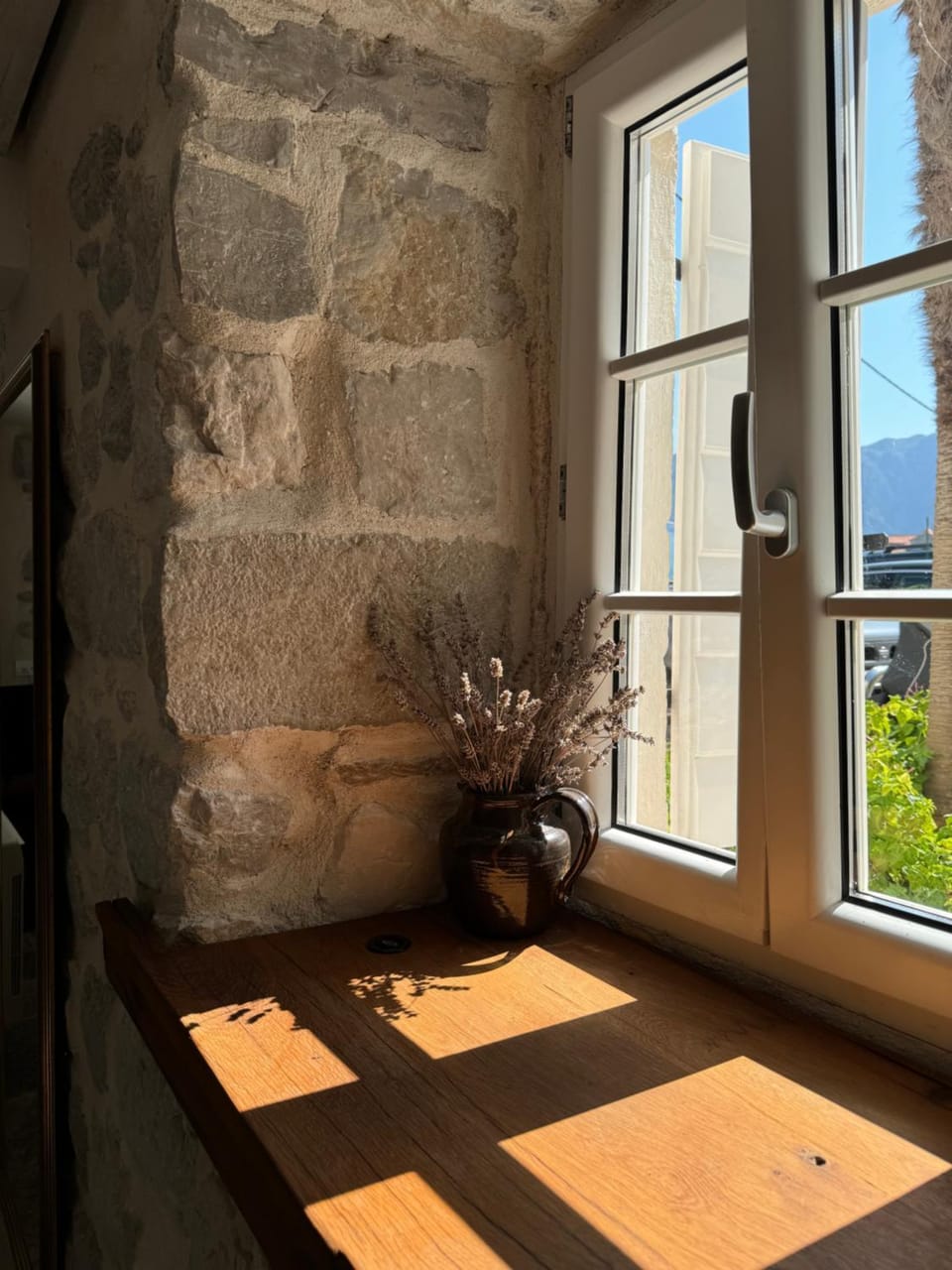 Vila Djuro Mikijelj Apartment in Kotor Municipality