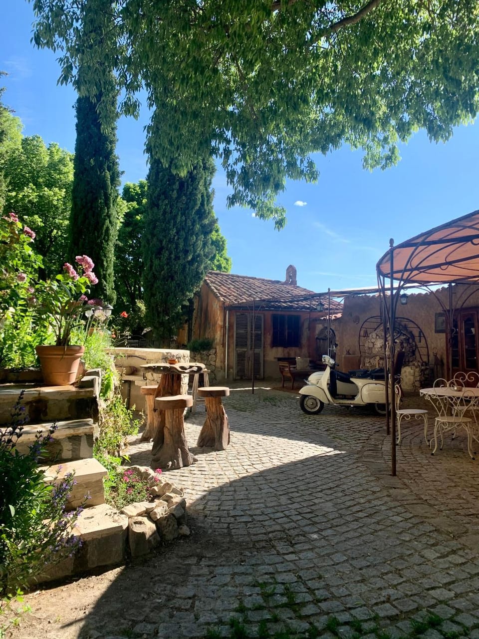 Garden