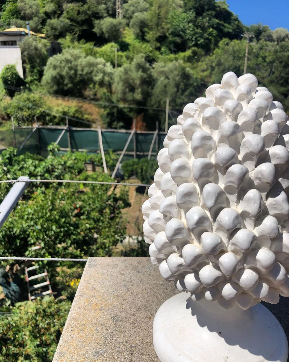 Garden view