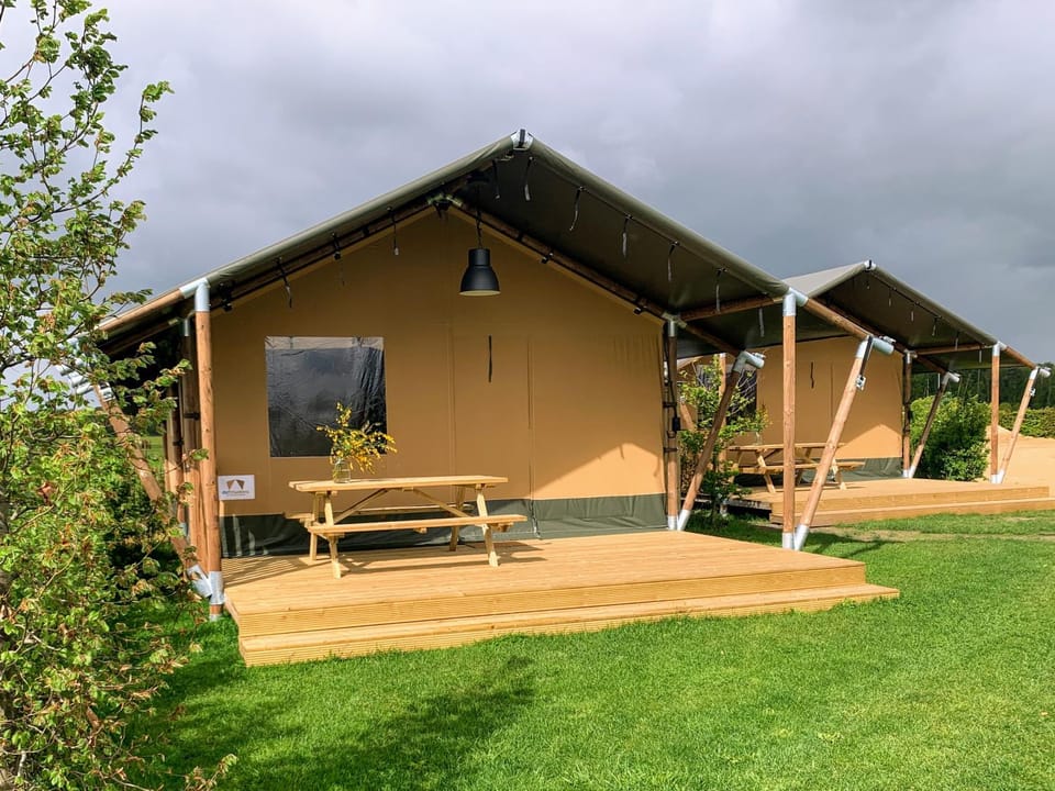 Property building, Day, Garden