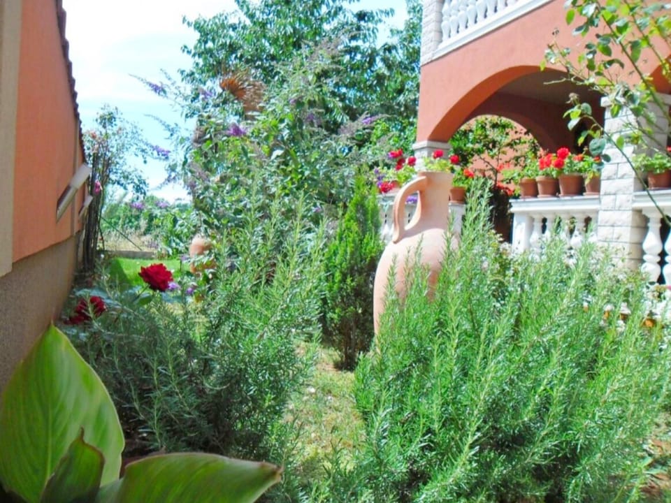 Apartments Anto Apartment in Pula