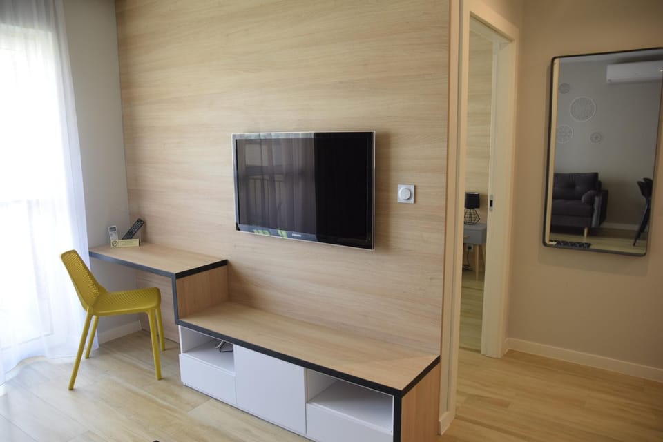 TV and multimedia
