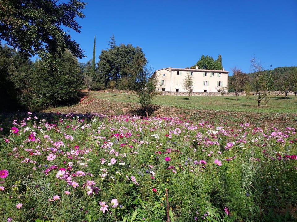 Property building, Natural landscape, Garden, Garden view