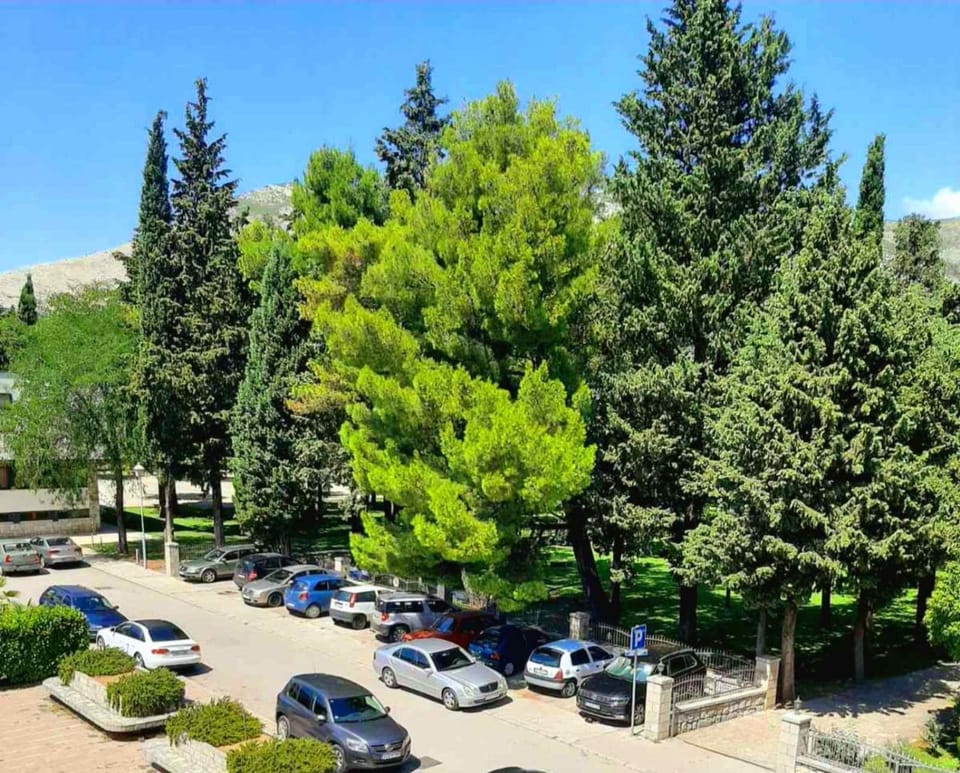 Apartman Park Apartment in Dubrovnik-Neretva County