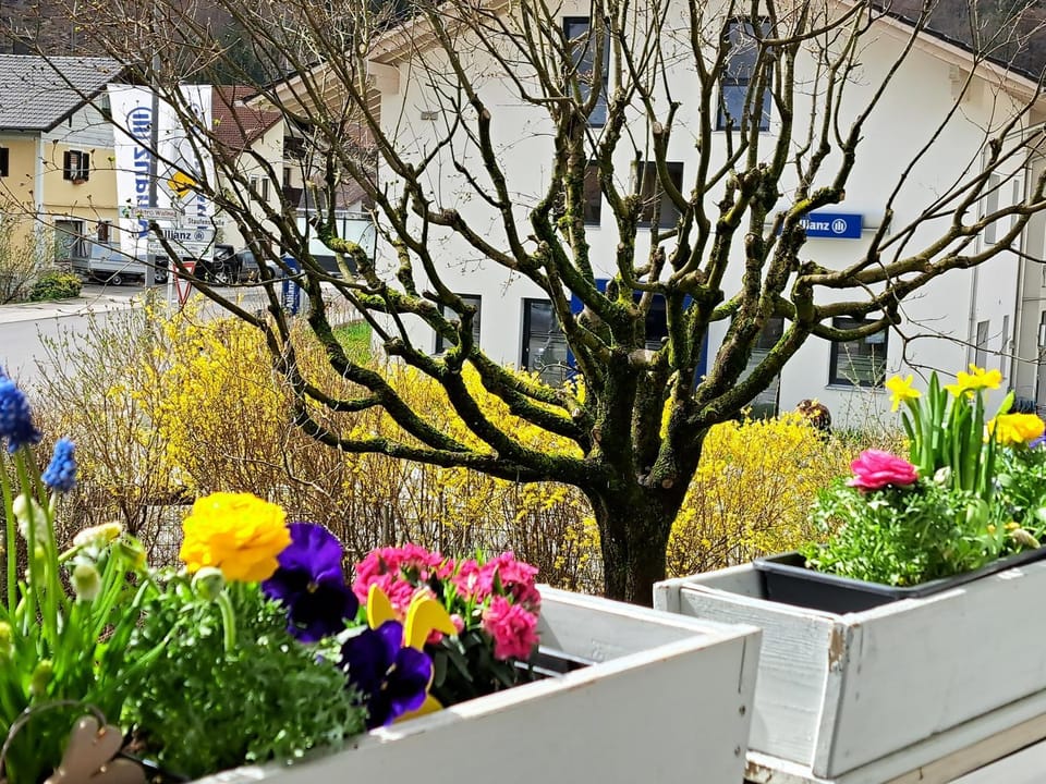 Spring