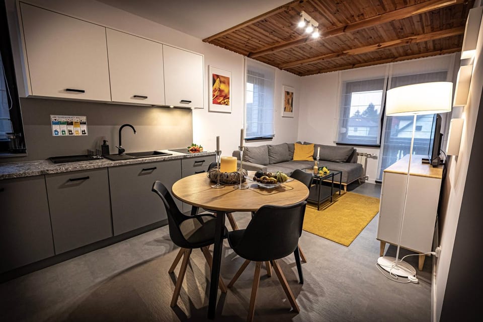 Kitchen or kitchenette, Living room, Seating area, Dining area, dishwasher, stove